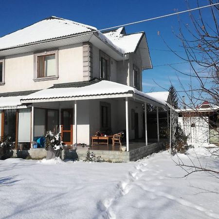 "European" Backpackers Hostel In Almati Kültér fotó